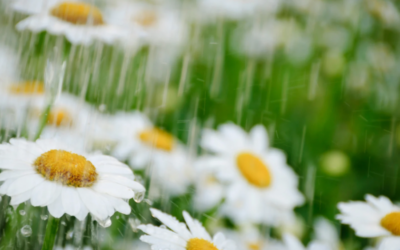 April Showers Bring… Overdue Accounts?